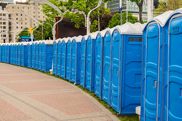 Types of Portable Toilets We Offer in Mazomanie, WI